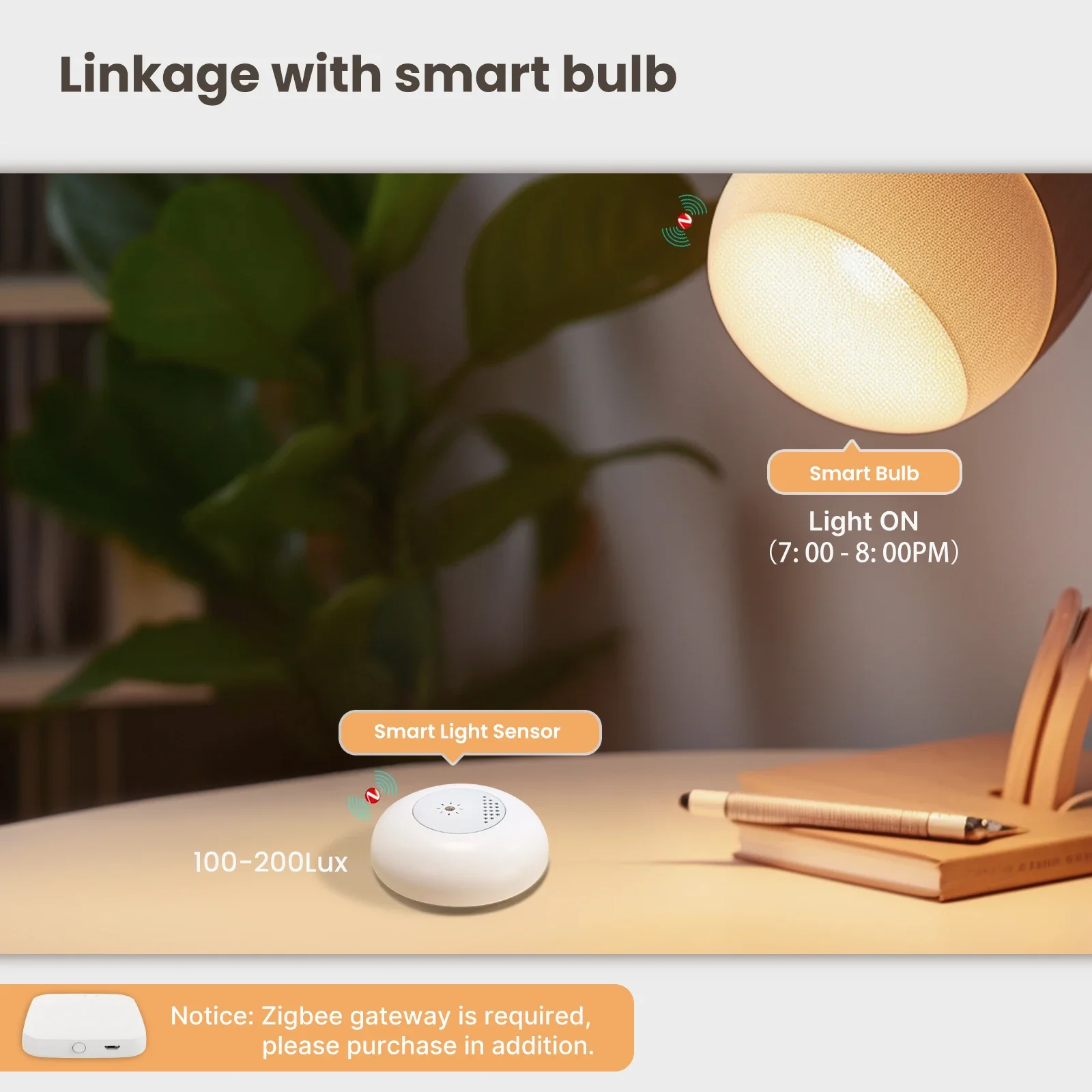MOES Tuya Zigbee Smart Light S - Smart Home Moes บทวิจารณ์และราคา
