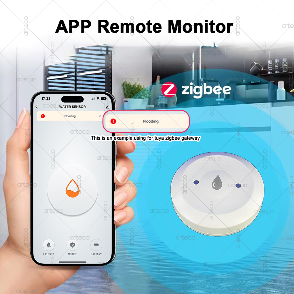 เซ็นเซอร์น้ำอัจฉริยะ Zigbee เค - Smart Home Zigbee Gateway บทวิจารณ์และราคา