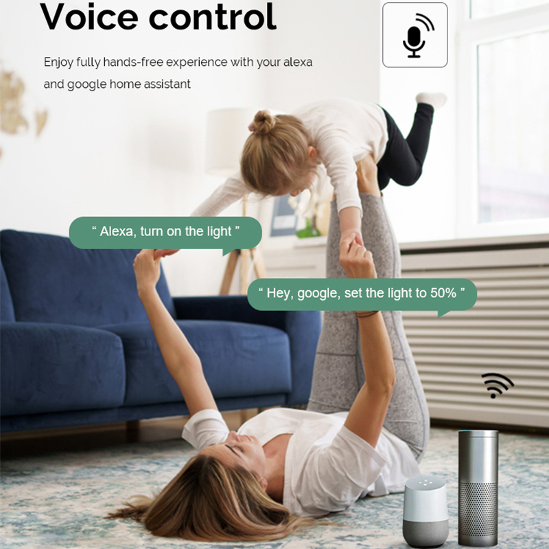 DIY Wifi Smart Dimmer Switch M - Tuya Wifi Socket บทวิจารณ์และราคา