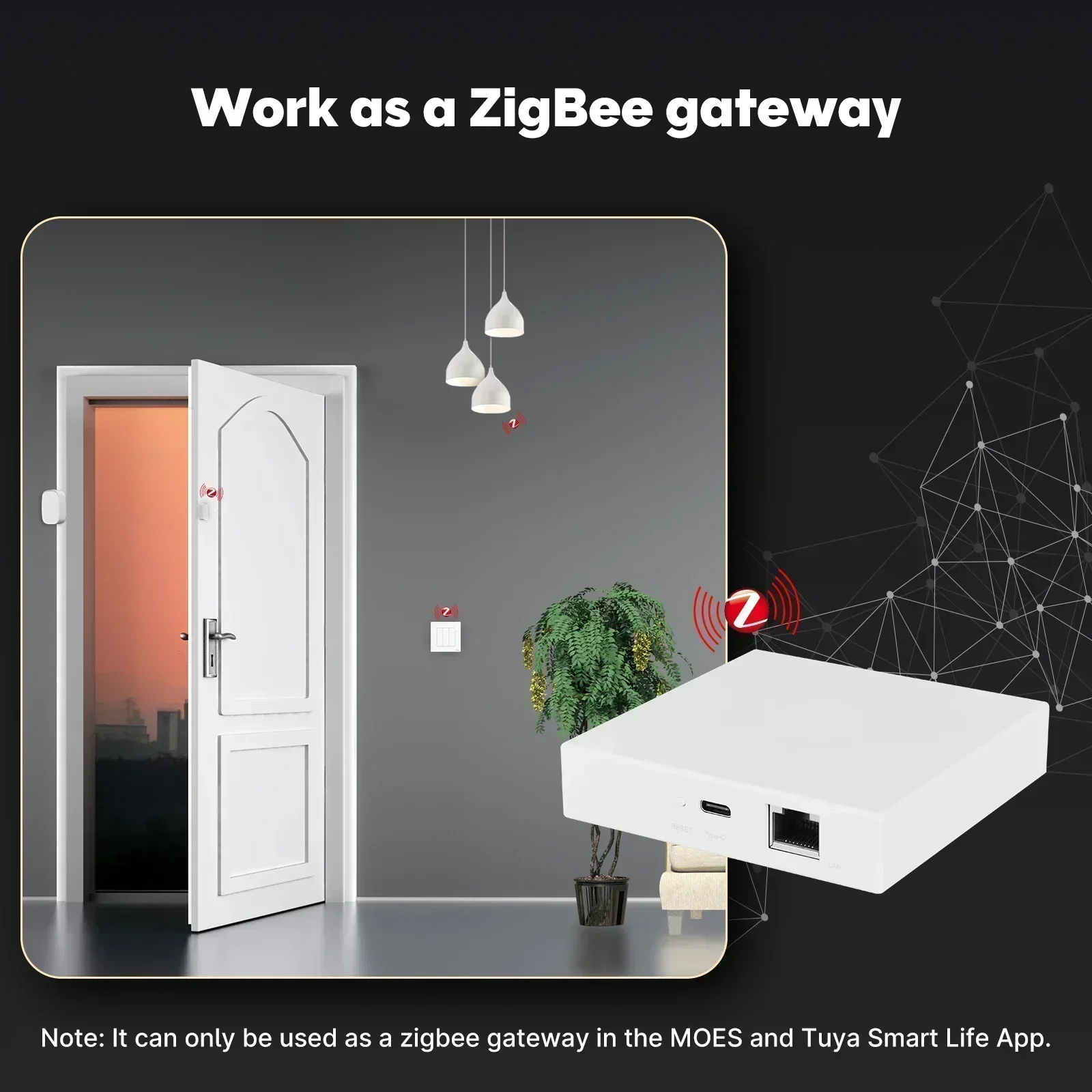 MOES Tuya Zigbee Matter Thread - Smart Home Living บทวิจารณ์และราคา