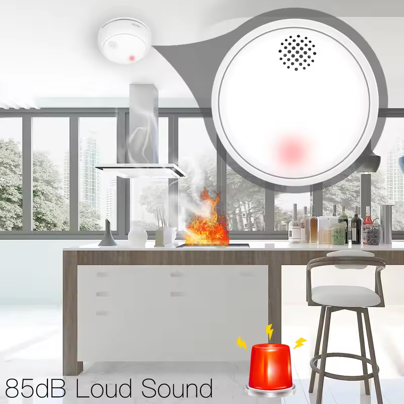 MOES ZigBee เครื่องตรวจจับควัน - Smart Home Moes บทวิจารณ์และราคา